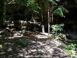 The cenote (sinkhole/collapsed water cave) in this pictur... by Betty Gail Danielson 
